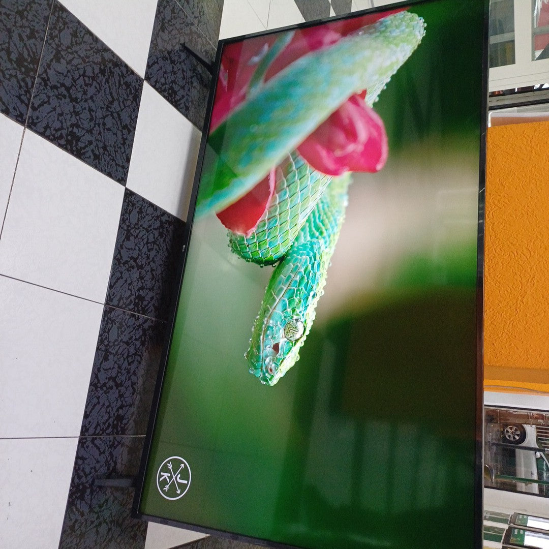 PANTALLA LG 65UP7500PSF (2022) 65" LED 4K (SEMINUEVO)