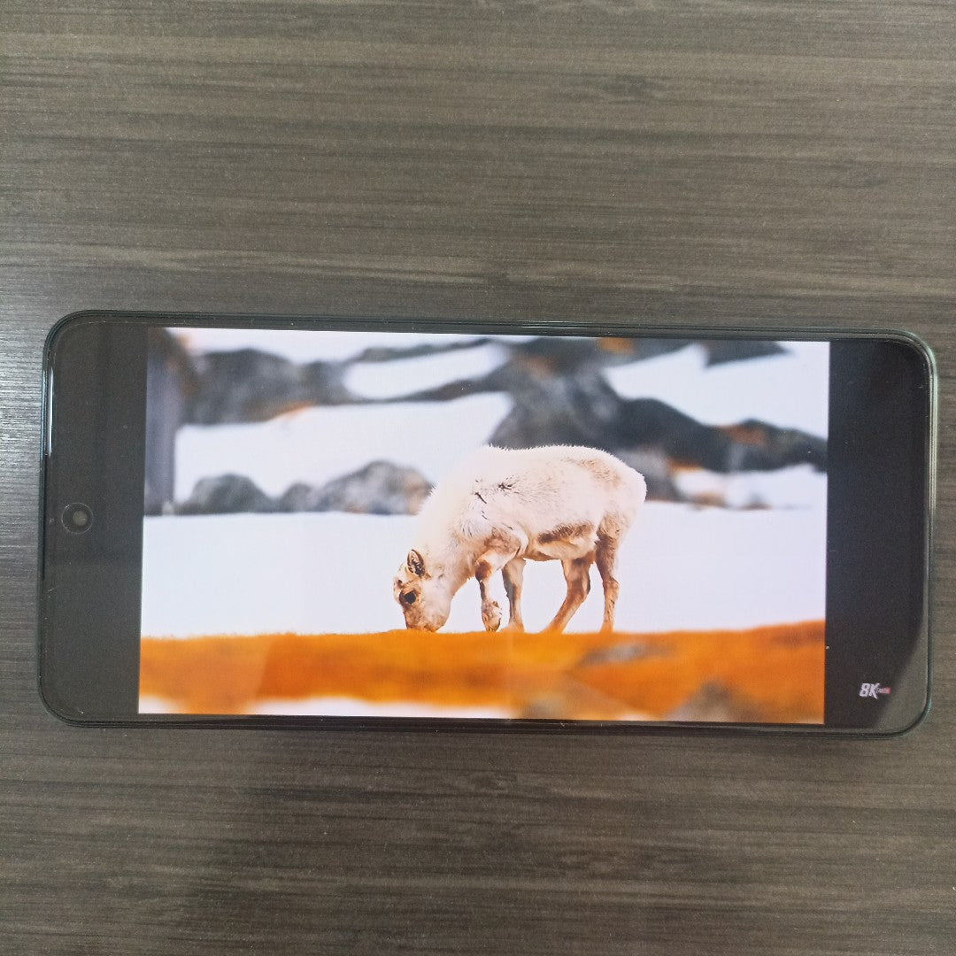 CELULAR OPPO  RENO 12F 5G CPH2637 256 GB 12 GB RAM (SEMINUEVO)