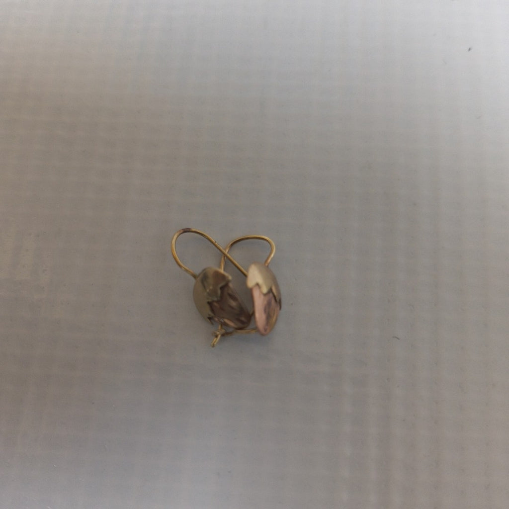 ARETES PAR ORO 10 K 1,00 GRMS (SEMINUEVO)