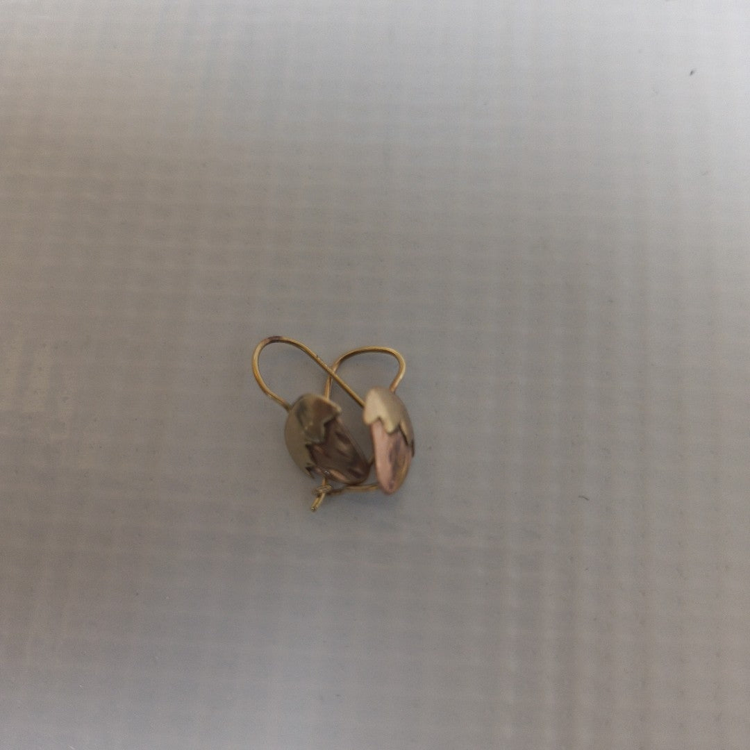ARETES PAR ORO 10 K 1,00 GRMS (SEMINUEVO)