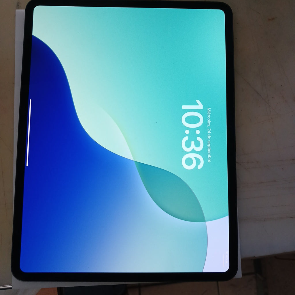 TABLETA APPLE IPAD PRO 13" A2926 (2024) 256 GB 8 GB RAM (SEMINUEVO)