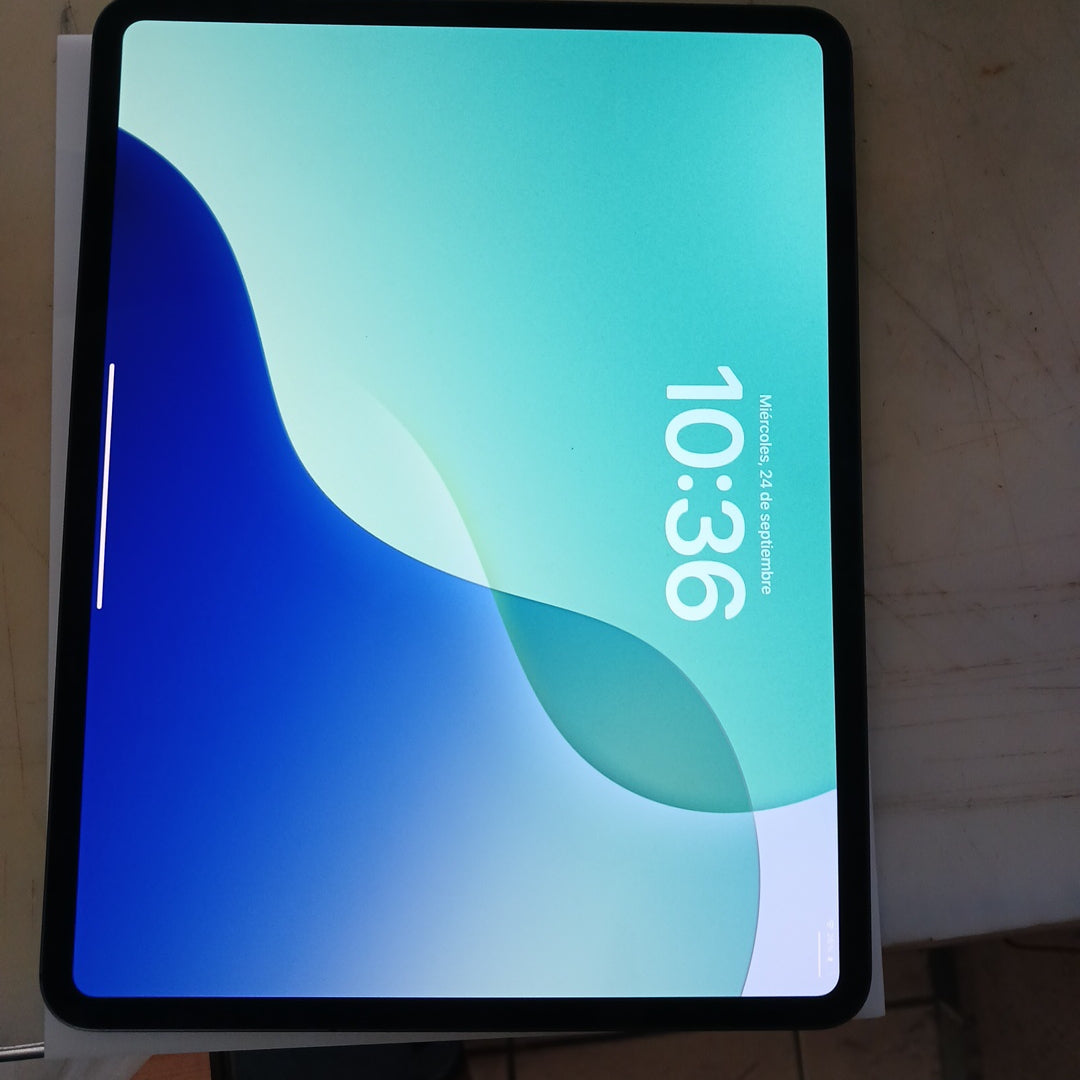 TABLETA APPLE IPAD PRO 13" A2926 (2024) 256 GB 8 GB RAM (SEMINUEVO)