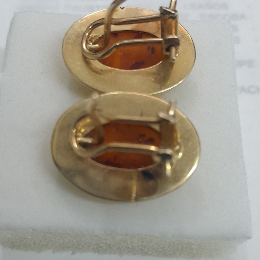 ARETES PAR. ORO. 14 K 6.3 GRMS (SEMINUEVO)