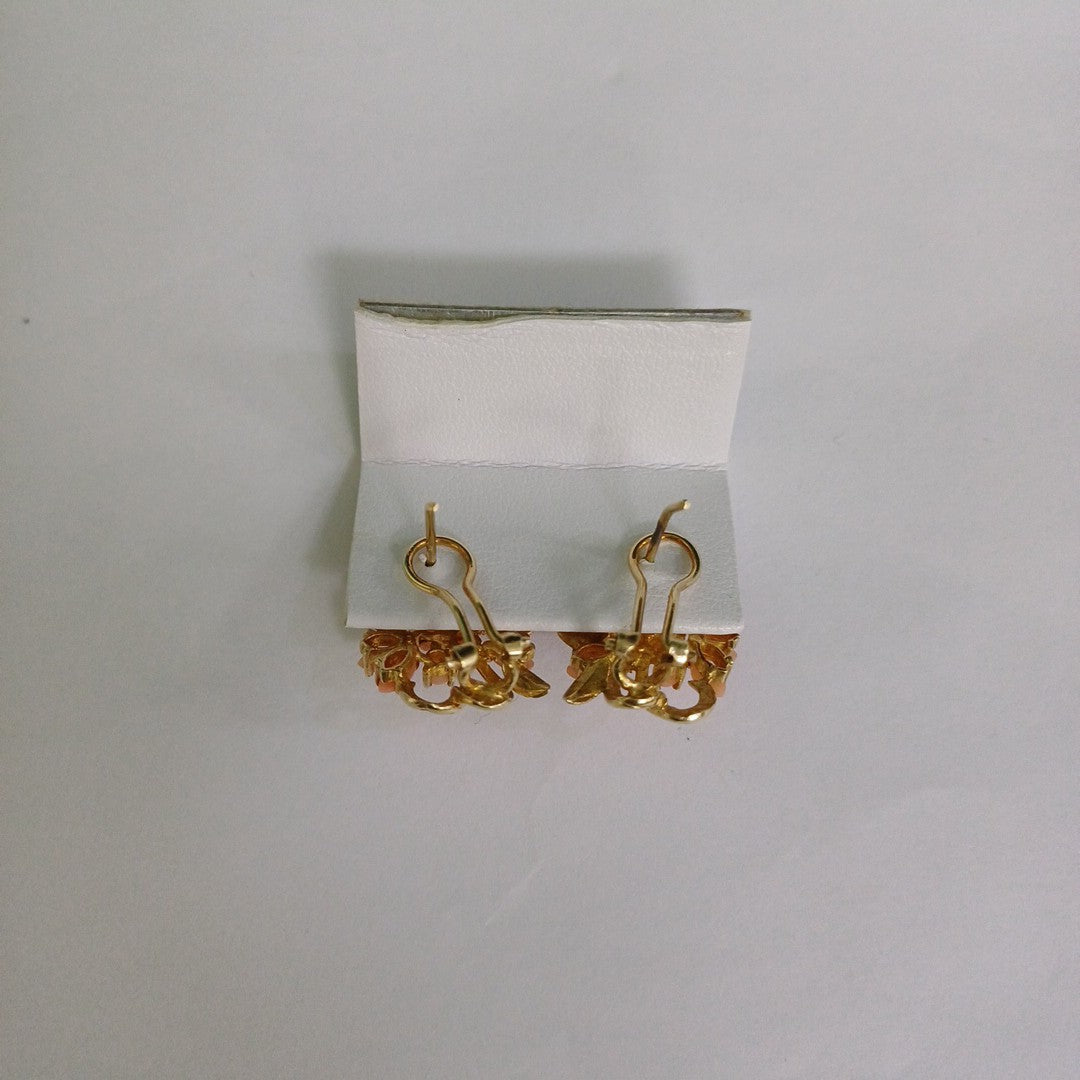 ARETES PAR. ORO. 14 K 4.6 GRMS (SEMINUEVO)