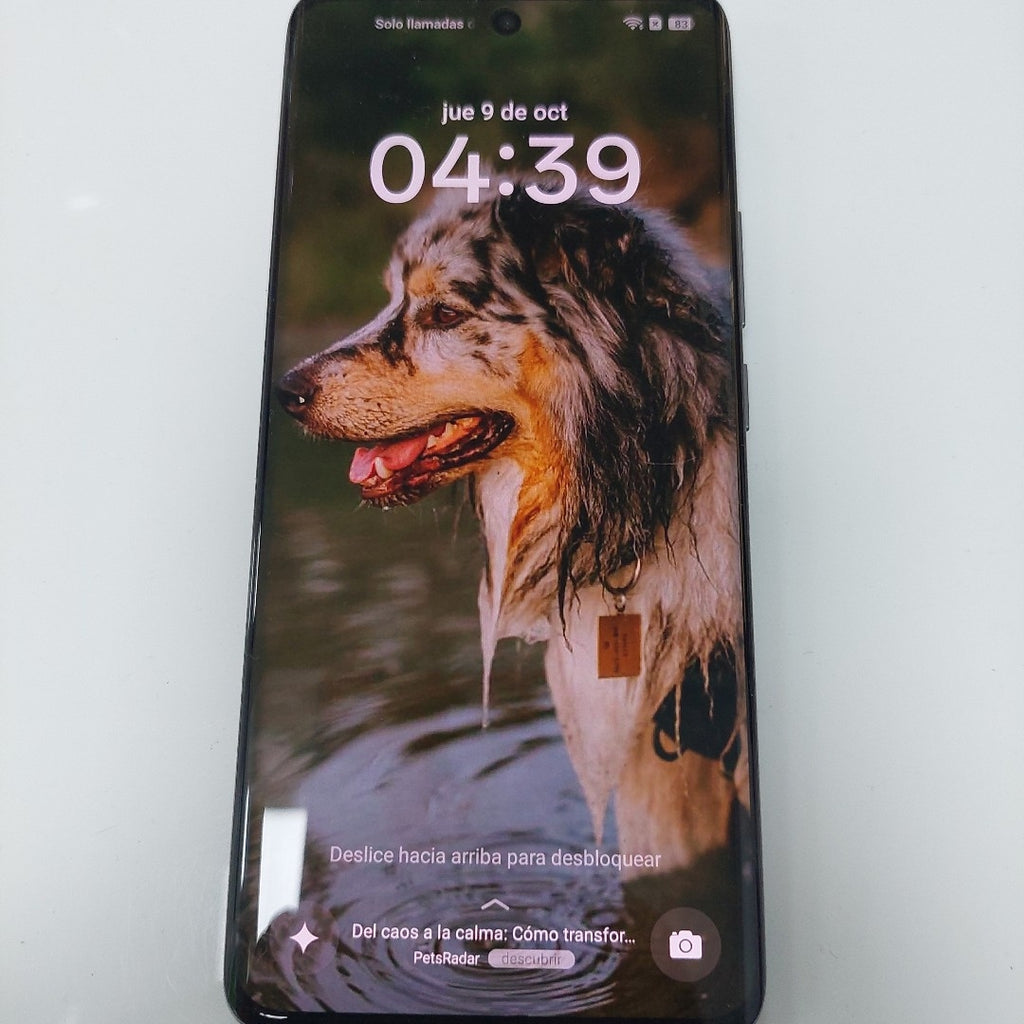 CELULAR REALME 14 PRO 5G RMX5056 (2025) 256 GB 8 GB RAM (SEMINUEVO)