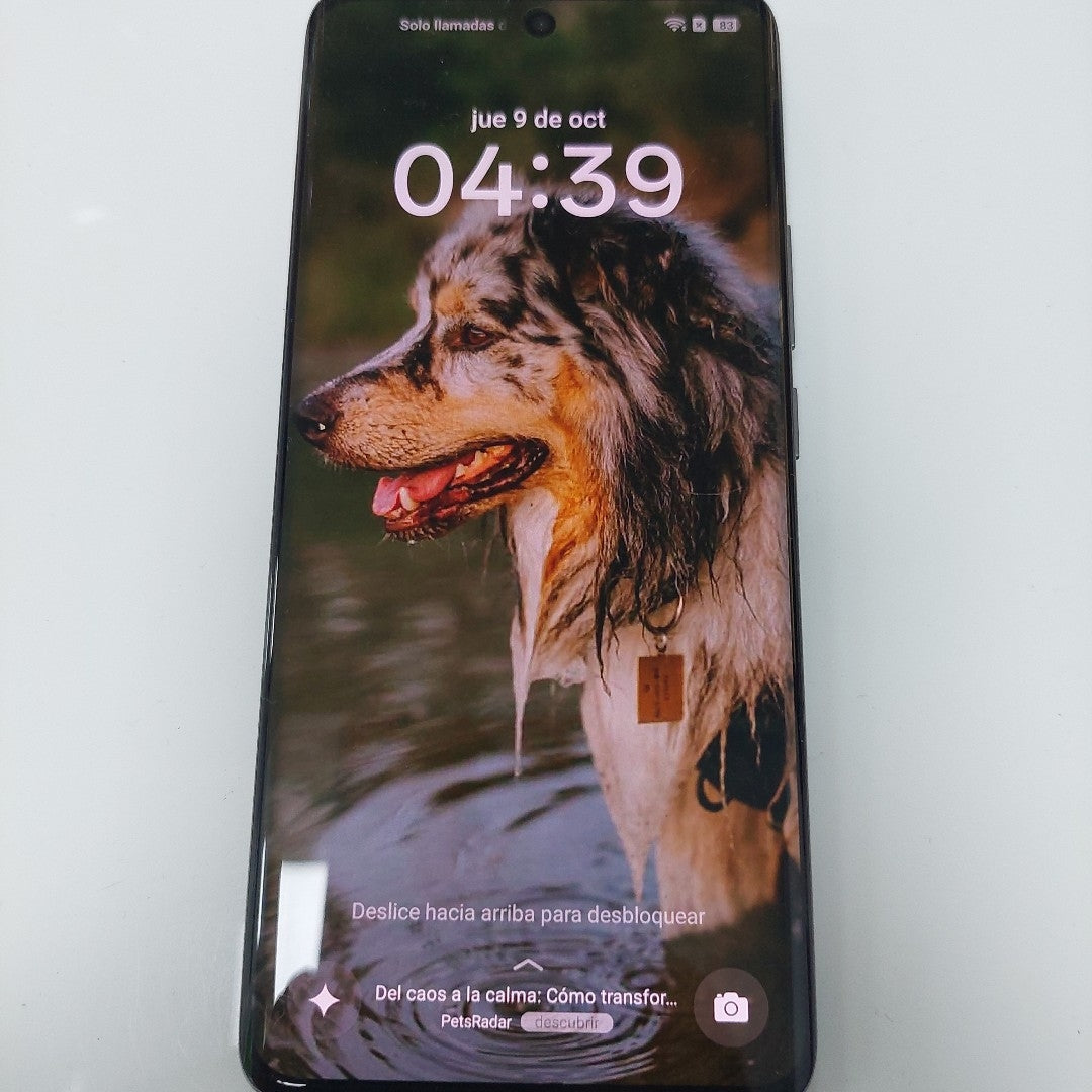 CELULAR REALME 14 PRO 5G RMX5056 (2025) 256 GB 8 GB RAM (SEMINUEVO)