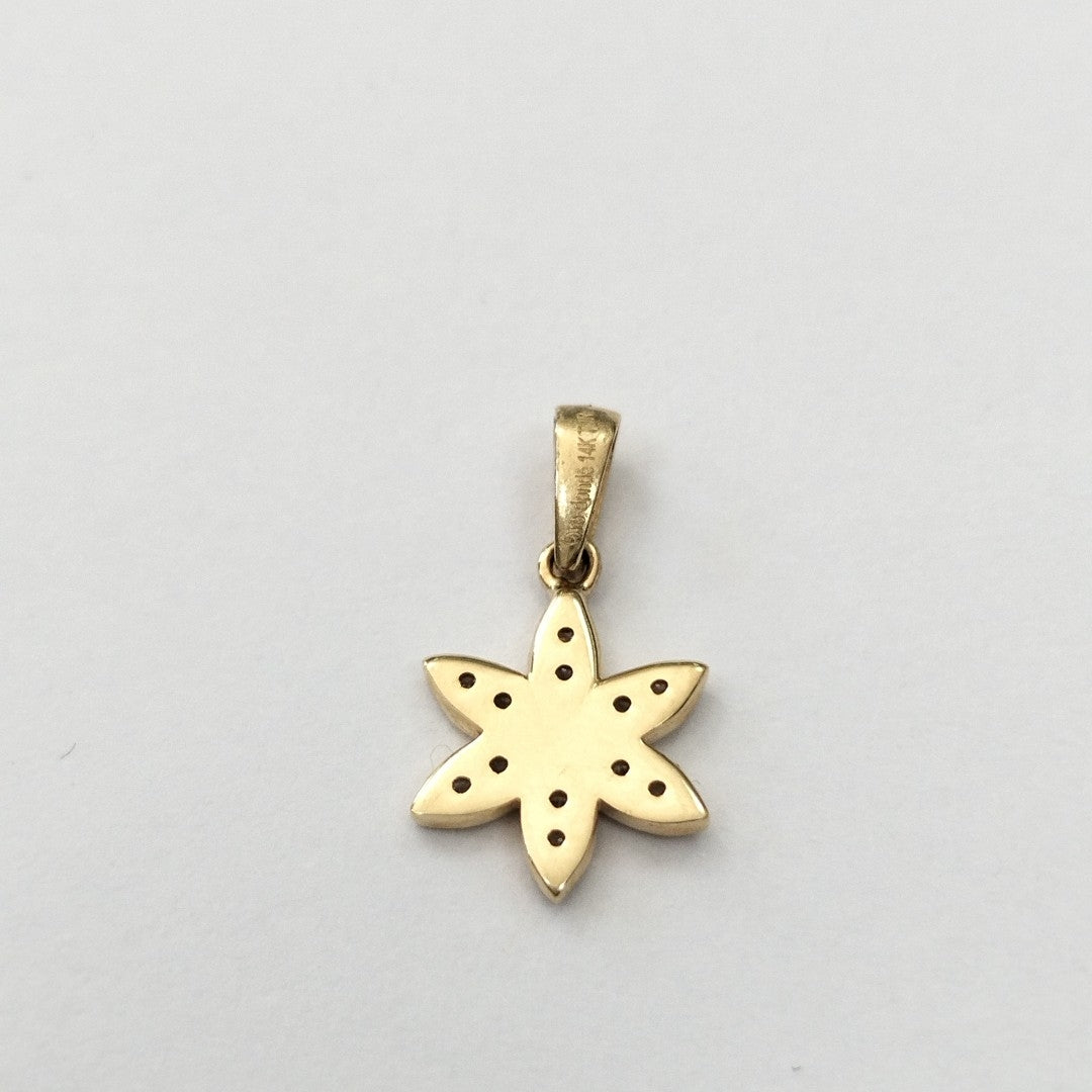 DIJES ORO 14K 1 (NUEVO)