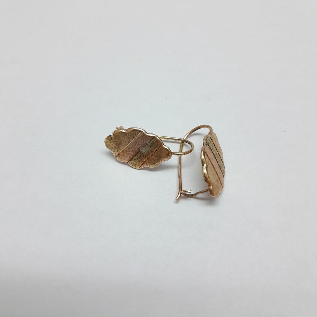 ARETES PAR. ORO. 8 K 1 GRMS (SEMINUEVO)