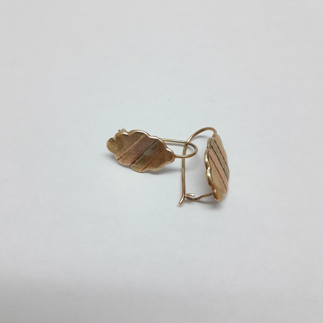 ARETES PAR. ORO. 8 K 1 GRMS (SEMINUEVO)