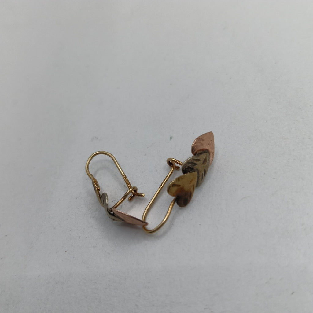 ARETES PAR. ORO. 10 K 1 GRMS (SEMINUEVO)