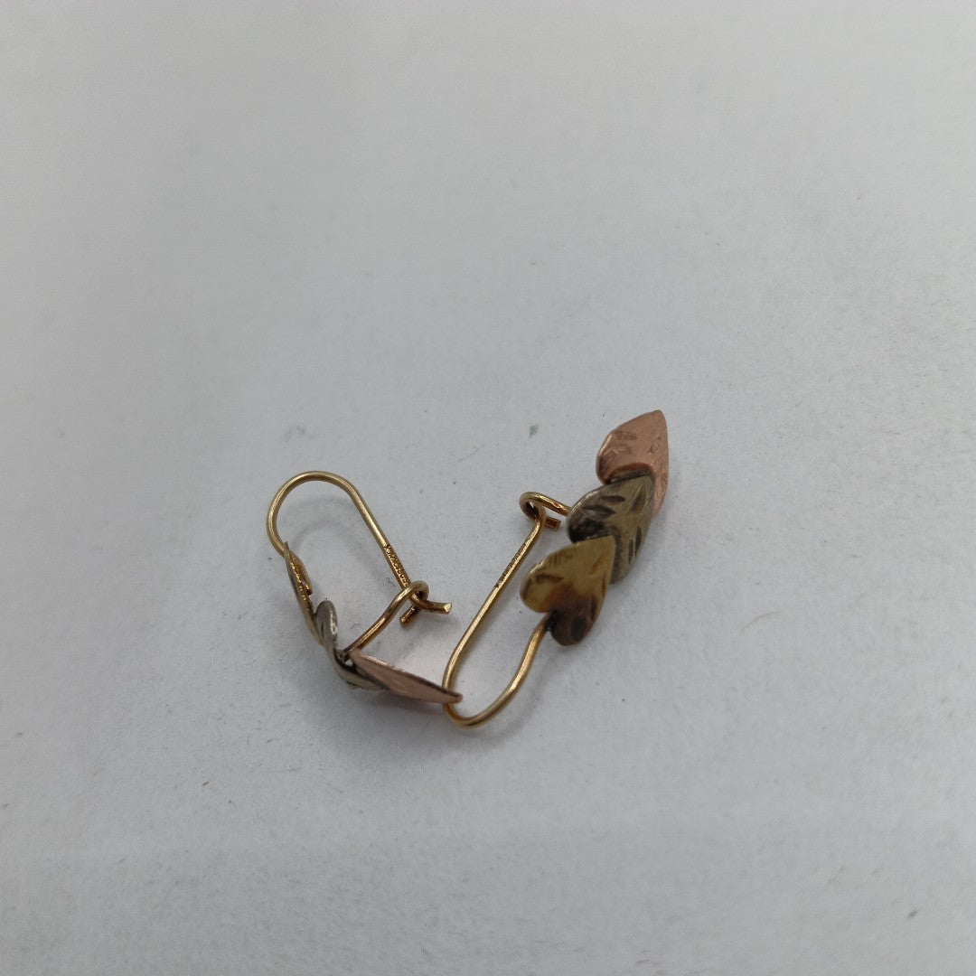 ARETES PAR. ORO. 10 K 1 GRMS (SEMINUEVO)