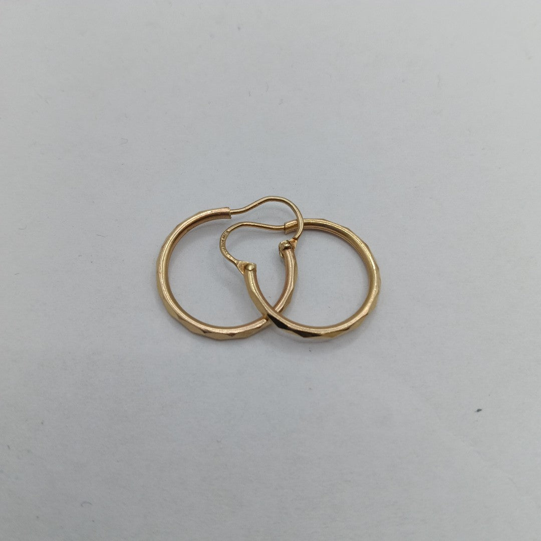 ARETES PAR. ORO. 10 K 1.3 GRMS (SEMINUEVO)