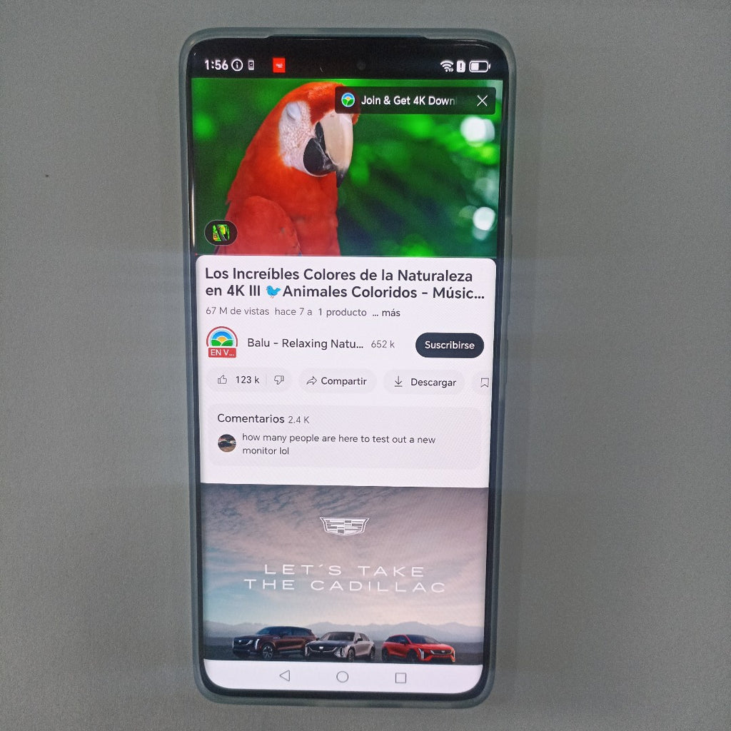 CELULAR HONOR MAGIC 7 LITE BRP-NX3 (2025) 512 GB 8 GB RAM (SEMINUEVO)