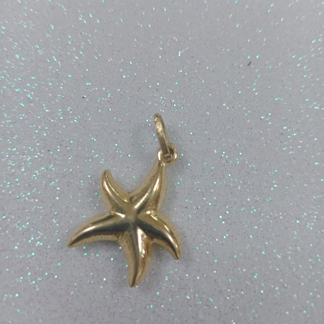 10024DIJ00000B644 FRD6 DIJE DE ESTRELLA DE MAR INFLADO ORO 14K 1.5GRS (NUEVO)