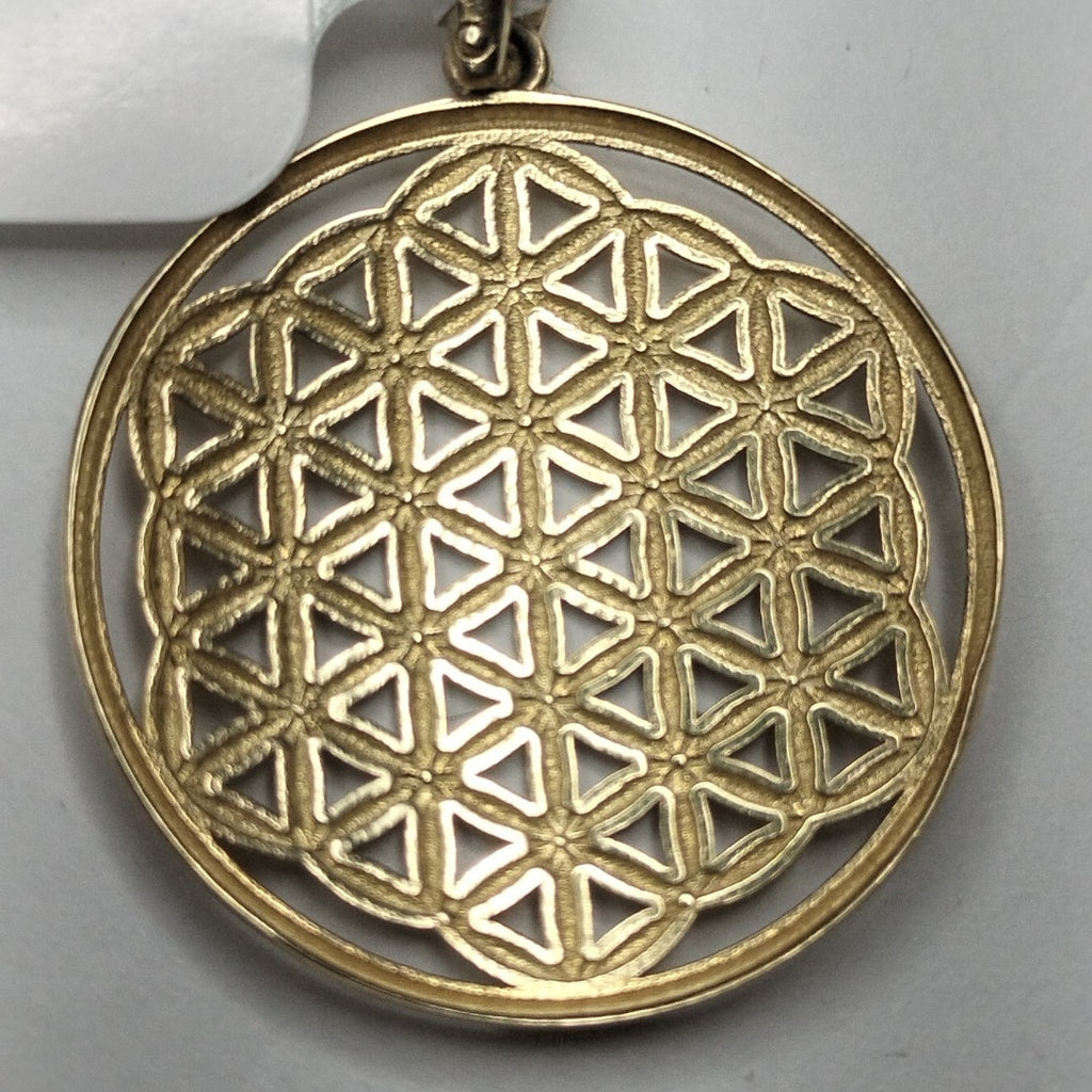 DIJES ORO 14K 1.6 (NUEVO)