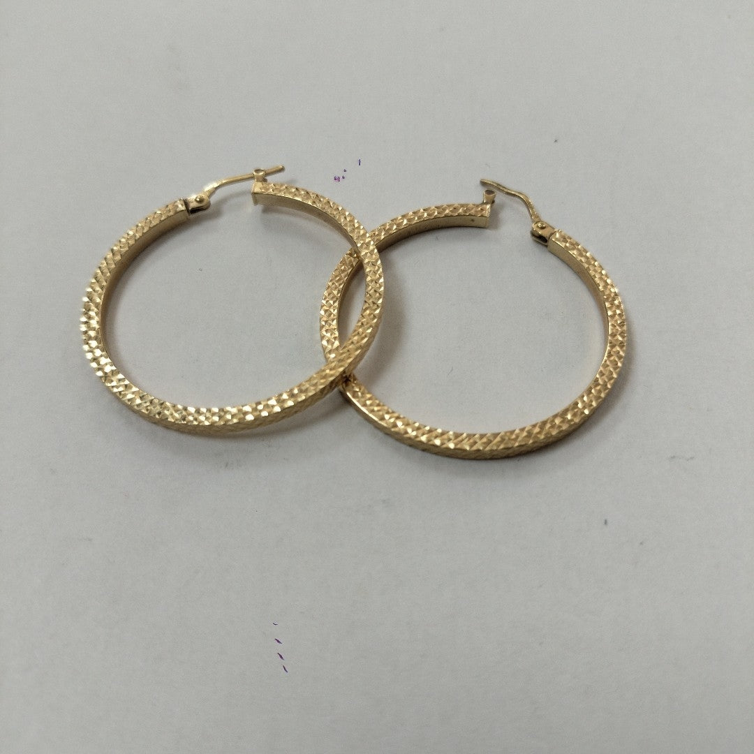 ARETES PAR. ORO. 10 K 2.5 GRMS (SEMINUEVO)