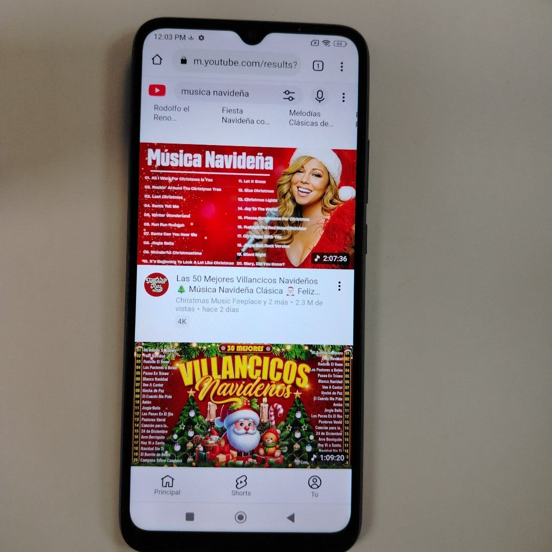 CELULAR XIAOMI REDMI 10C 220333QL 128 GB 4 GB RAM (SEMINUEVO)