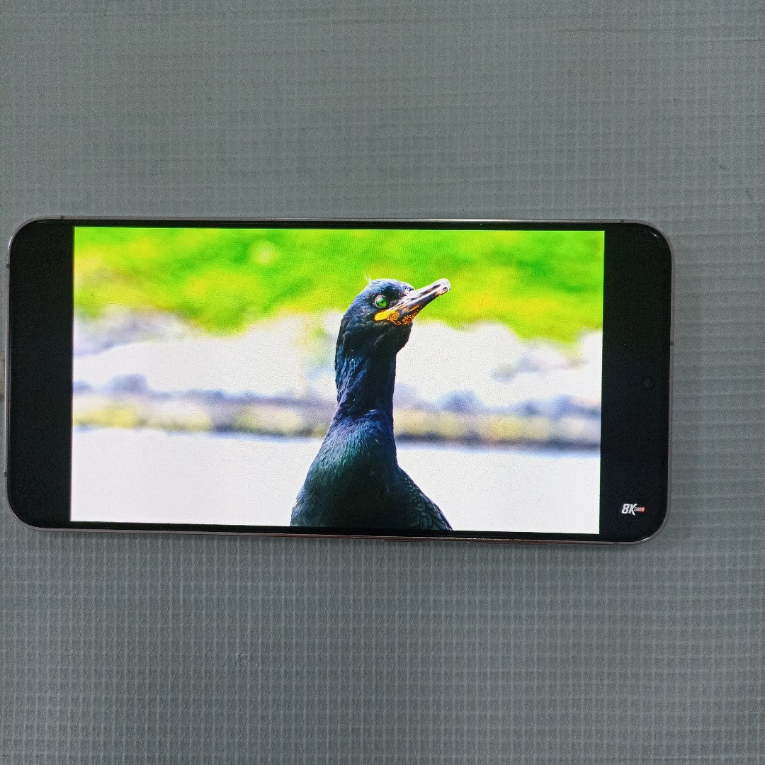 CELULAR SAMSUNG GALAXY S23+ SM-S916B 512 GB 8 GB RAM (SEMINUEVO)