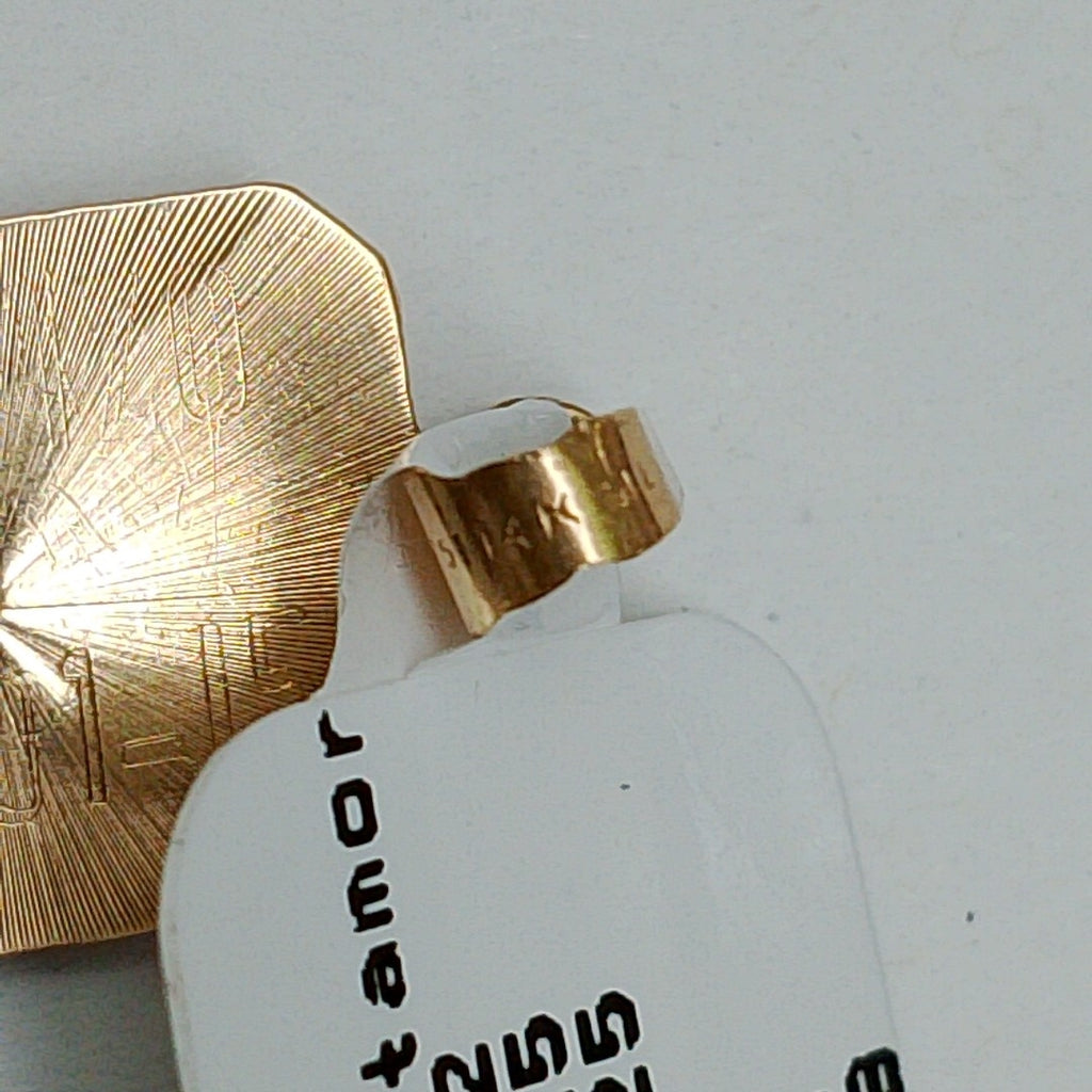 K1 1,00 GRMS 14 K ESPECIFICACIONES COMPLEMENTARIAS MEDALLA RELIGIOSA CUADRO ROST (SEMINUEVO)