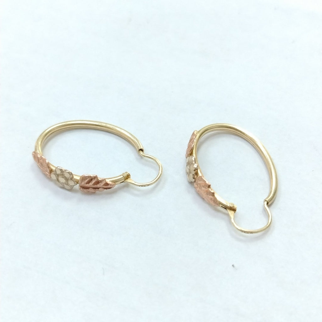 ARETES PAR ORO 14 K 2,20 GRMS (SEMINUEVO)
