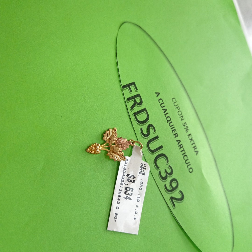 DIJE ORO 10 K 0.8 GRMS (SEMINUEVO)