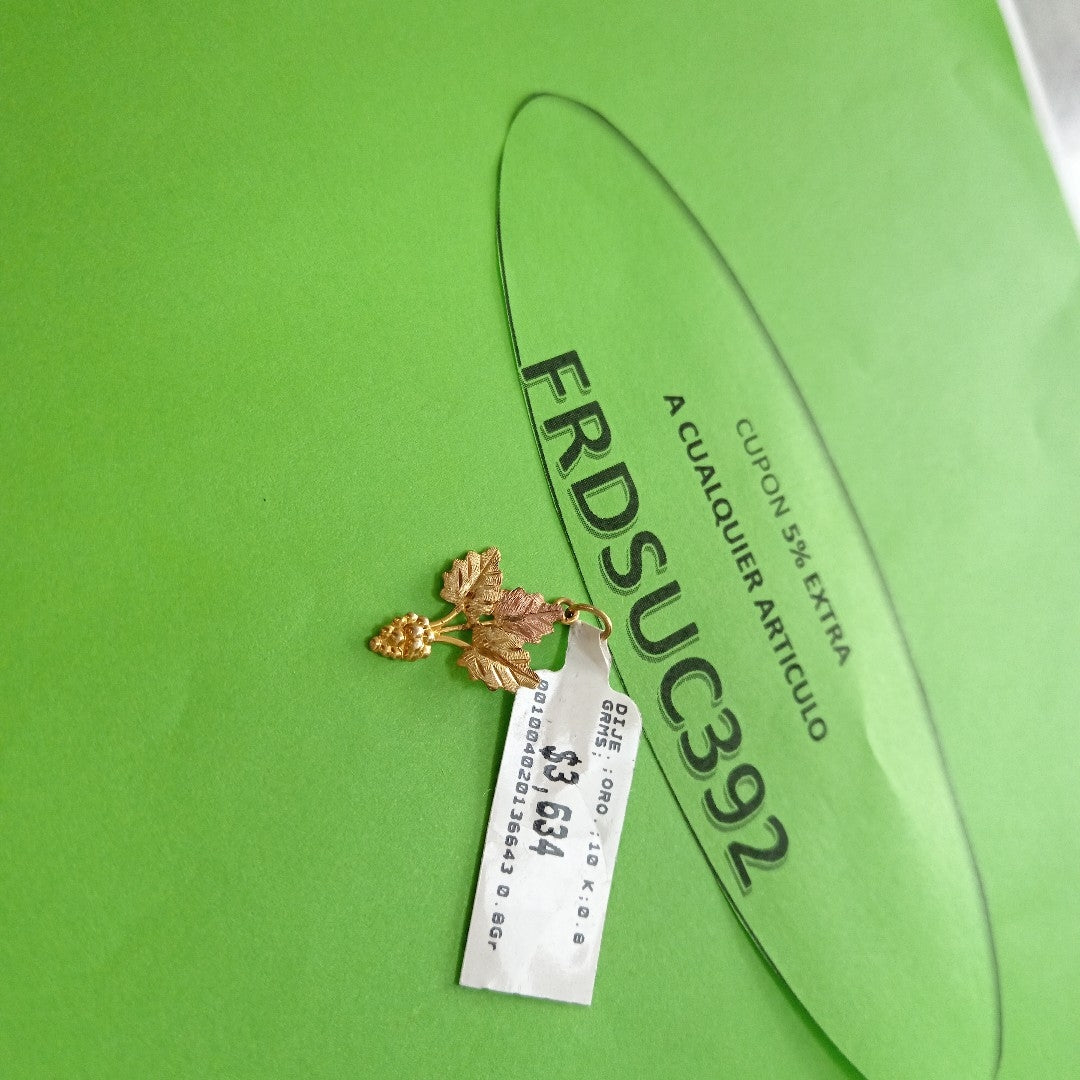 DIJE ORO 10 K 0.8 GRMS (SEMINUEVO)