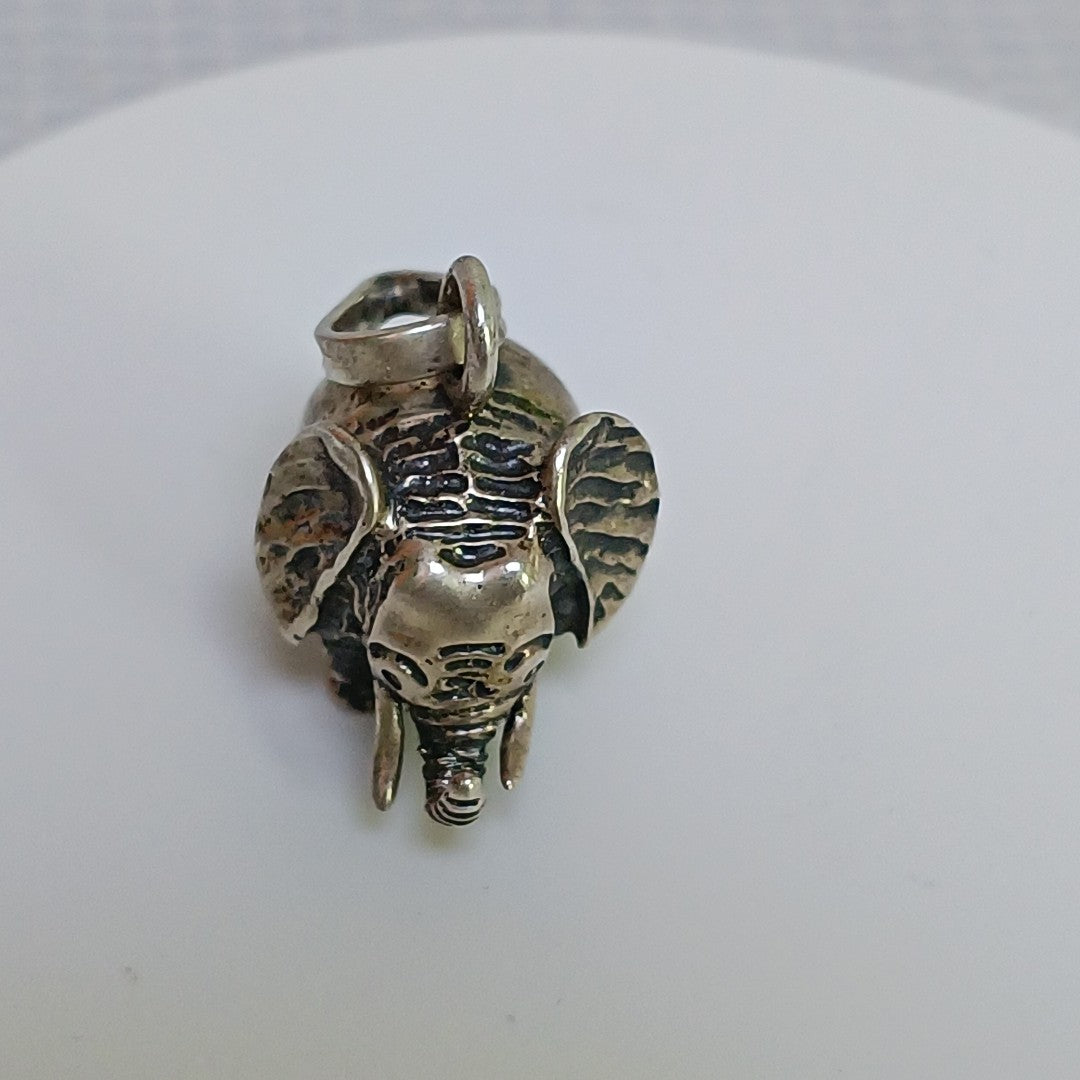 DIJE PLATA 10,40 GRMS (SEMINUEVO)