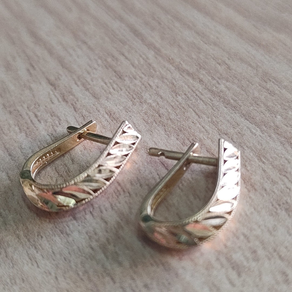 K1 2,50 GRMS 10 K ESPECIFICACIONES COMPLEMENTARIAS PAR DE ARETES (SEMINUEVO)