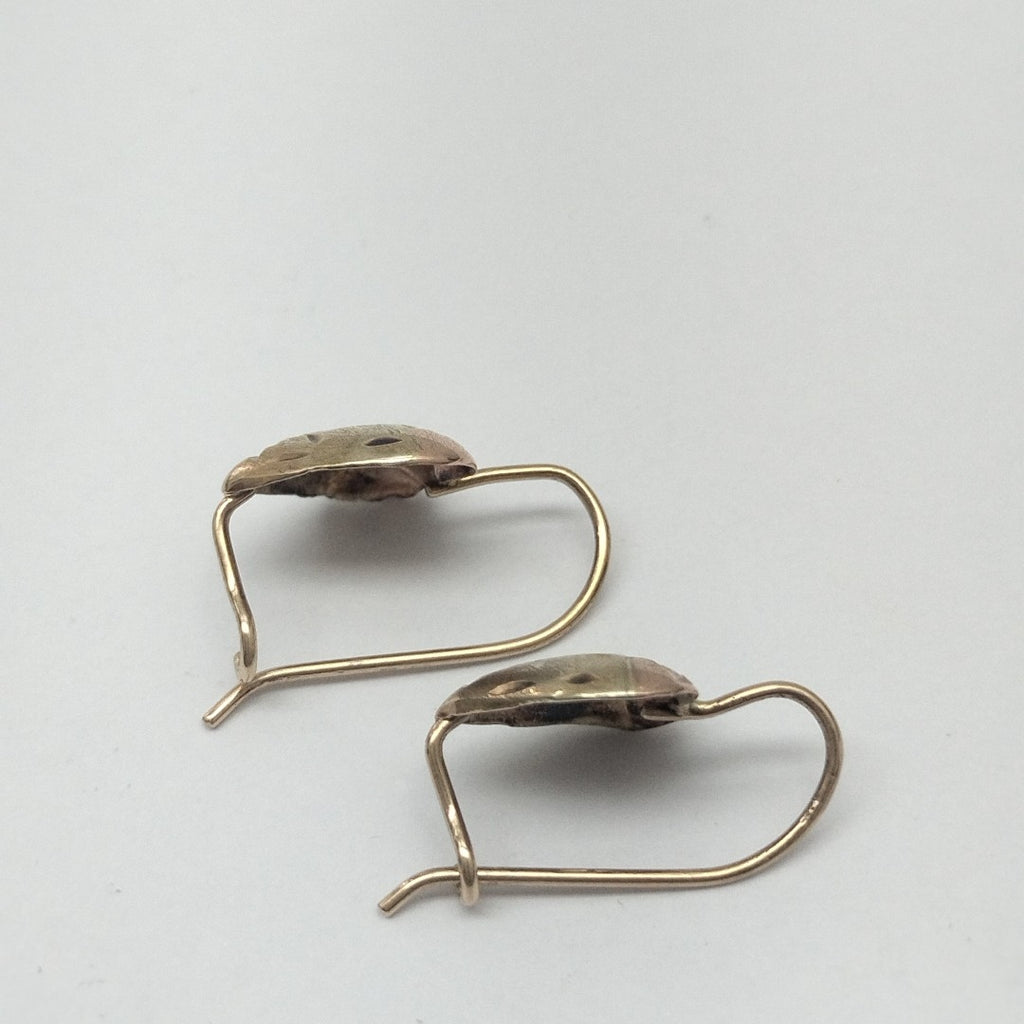 ARETES PAR ORO 10 K 2 GRMS (SEMINUEVO)