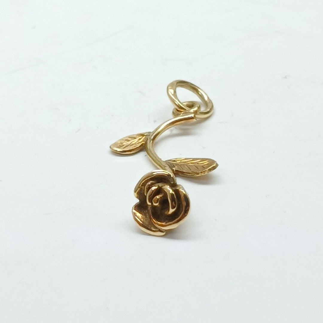 DIJE ORO 14 K 1.5 GRMS (SEMINUEVO)