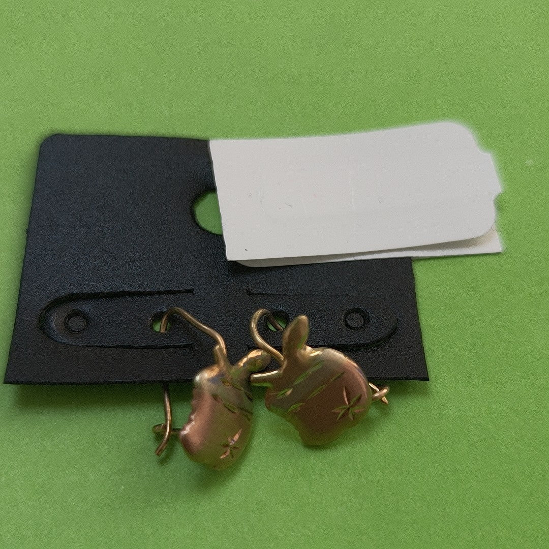 ARETES PAR ORO 10 K 0.9 GRMS (SEMINUEVO)