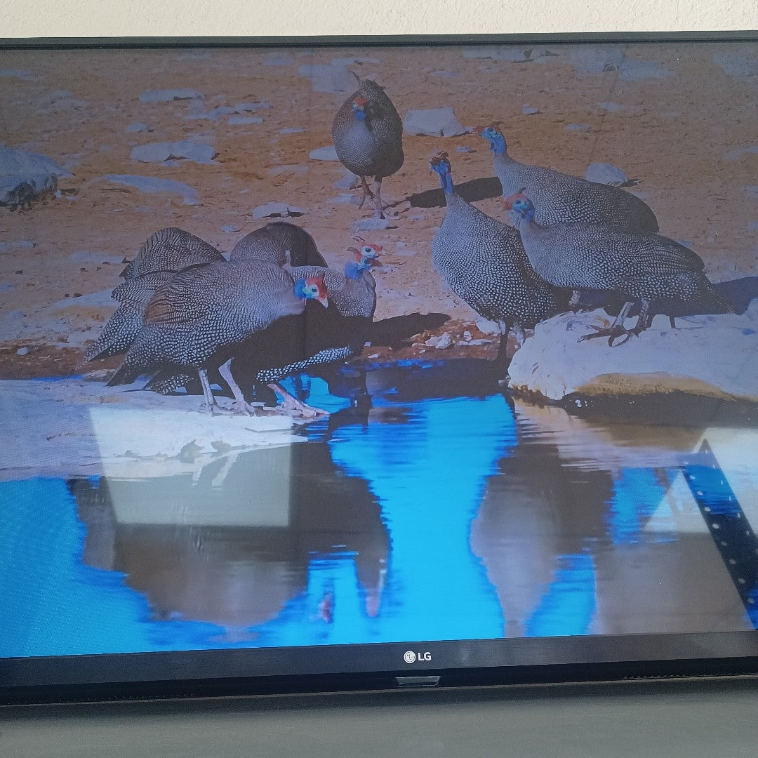 PANTALLA LG 55UN7300PUC (2020) 55" LED 4K