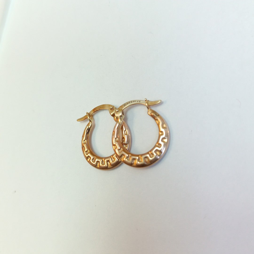 ARRACADAS PAR ORO, RODIADO 14 K 1.2 GRMS (SEMINUEVO)