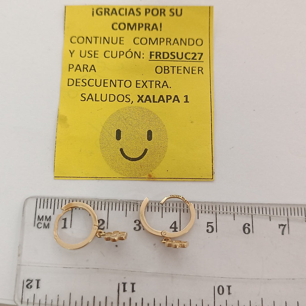 ARRACADAS PAR ORO 14 K 2 GRMS (SEMINUEVO)