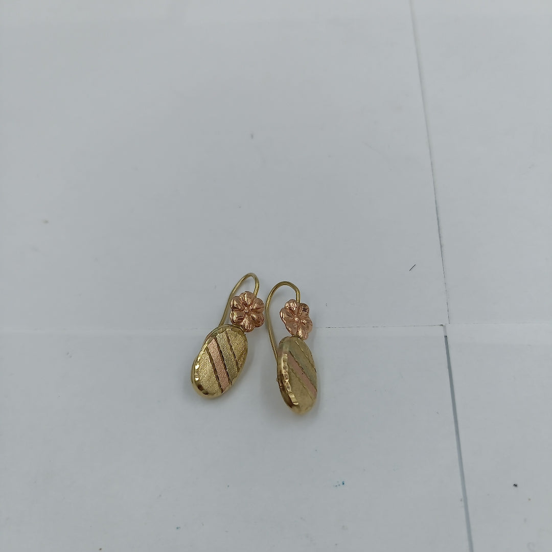 ARETES PAR ORO 10 K 1.3 GRMS (SEMINUEVO)