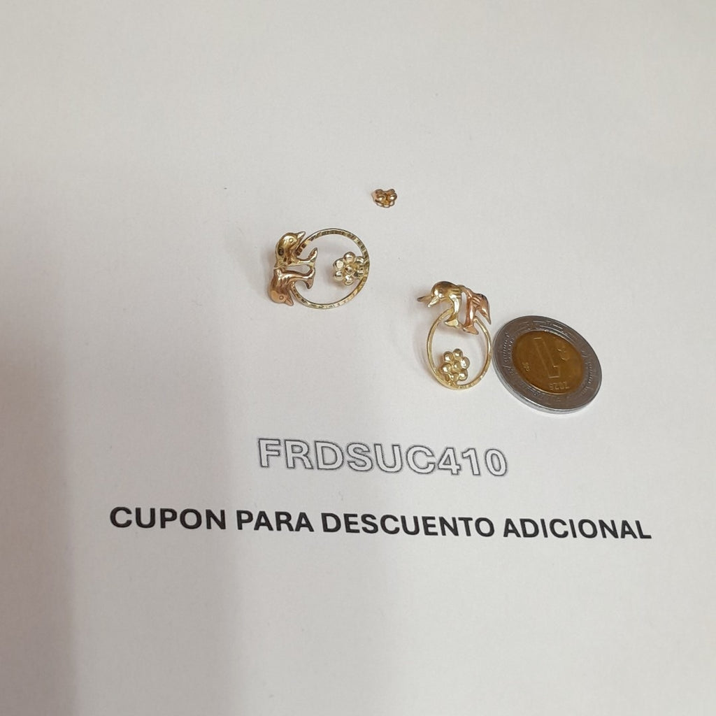 BROQUELES PAR ORO 14 K 1 GRMS (SEMINUEVO)