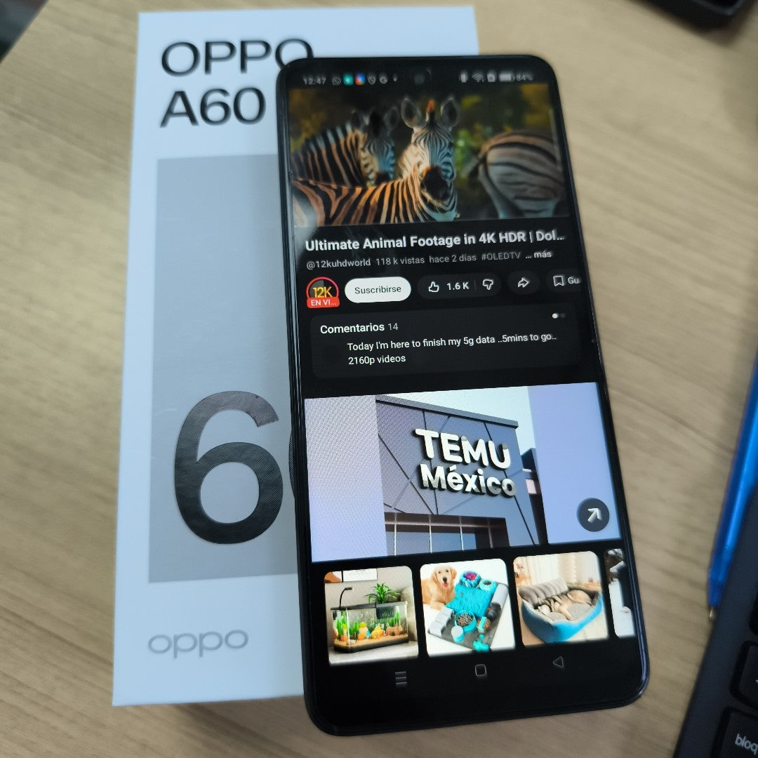 CELULAR OPPO  A60 CPH3669 256 GB 8 GB RAM (SEMINUEVO)