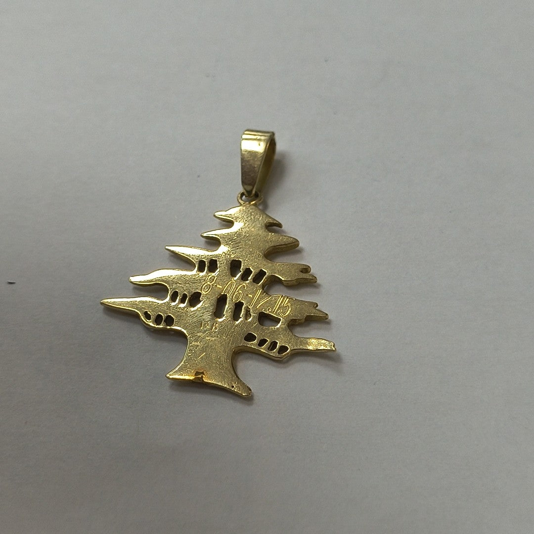 DIJE ORO 14 K 4,50 GRMS (SEMINUEVO)