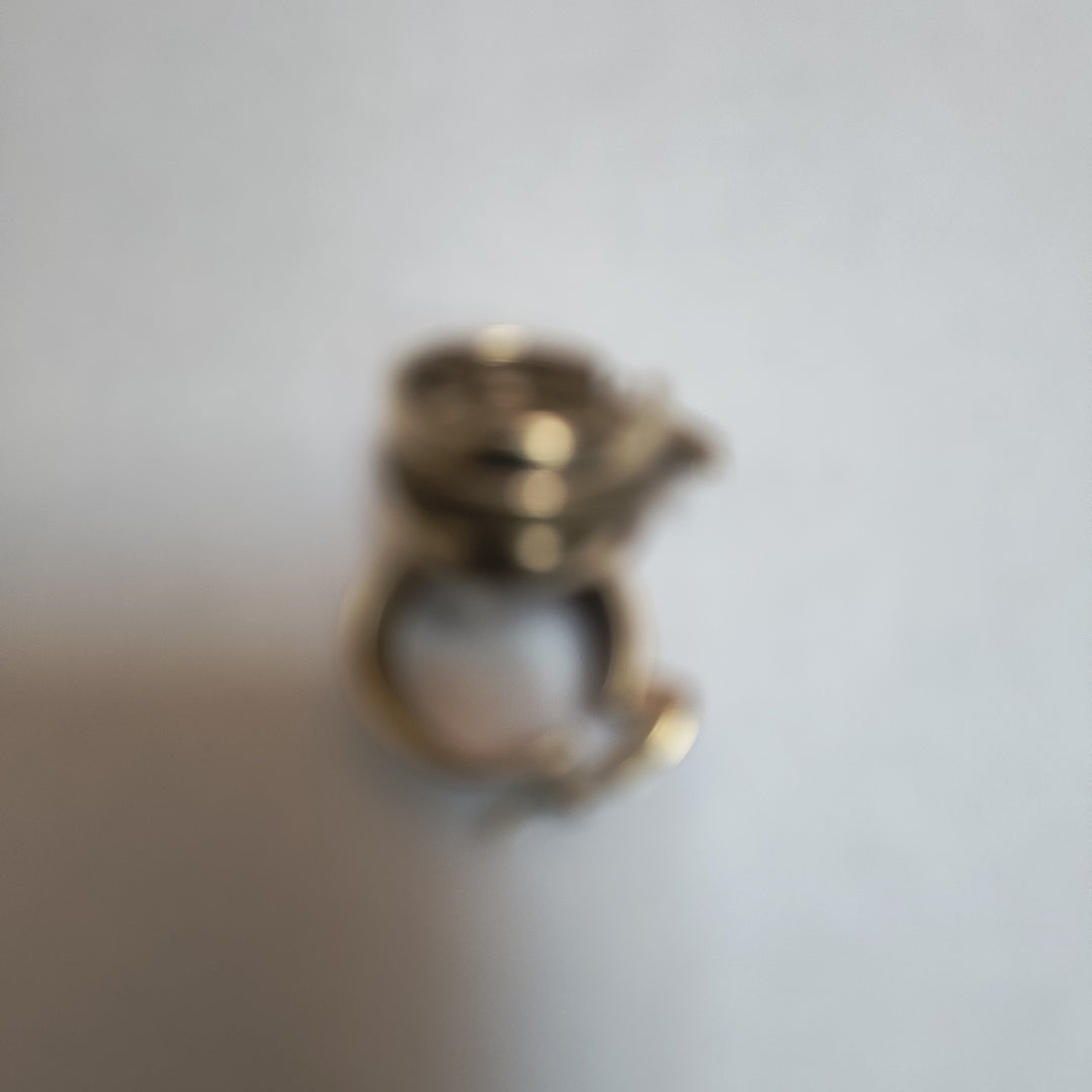 ARETES PAR ORO 10 K 5.5 GRMS (SEMINUEVO)