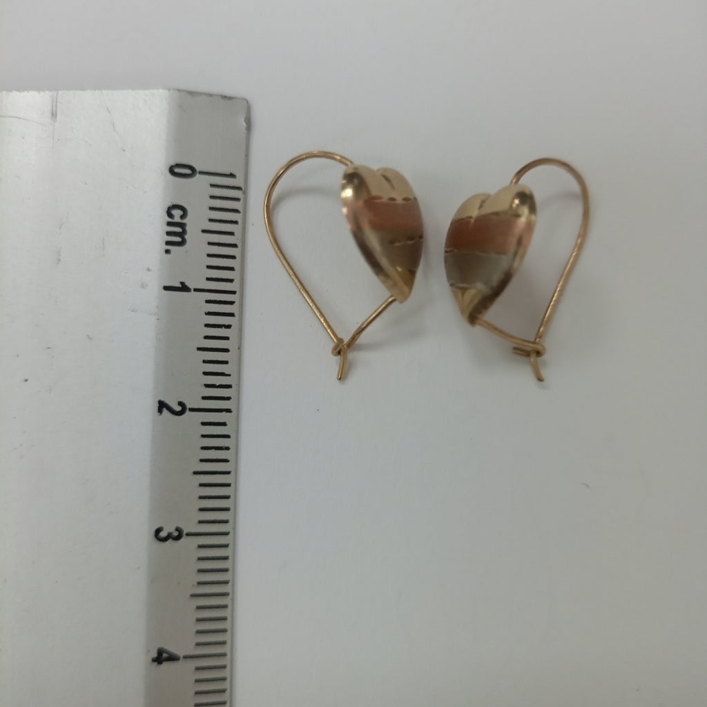 ARETES PAR ORO 10 K 0.9 GRMS (SEMINUEVO)