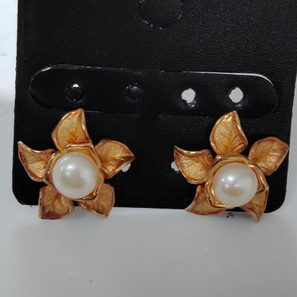 ARETES PAR ORO 14 K 5.6 GRMS (SEMINUEVO)