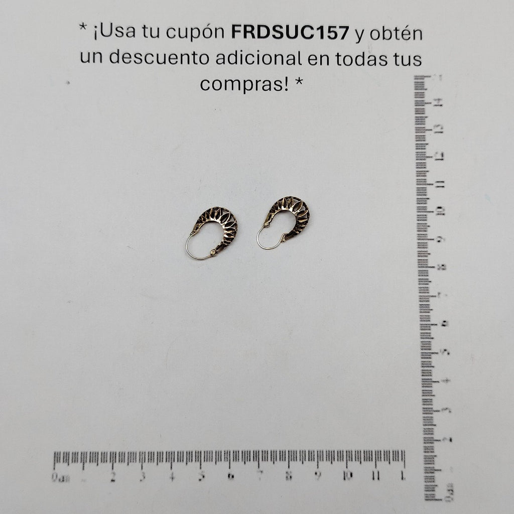 ARETES PAR ORO 10 K 2.5 GRMS (SEMINUEVO)