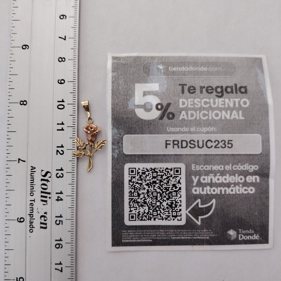 DIJE ORO, ORO COMBINADO 10 K 1.5 GRMS (SEMINUEVO)