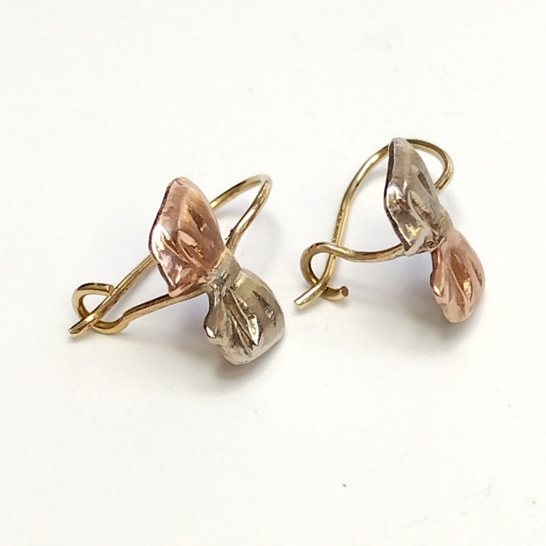 ARETES PAR ORO 10 K 0.9 GRMS (SEMINUEVO)