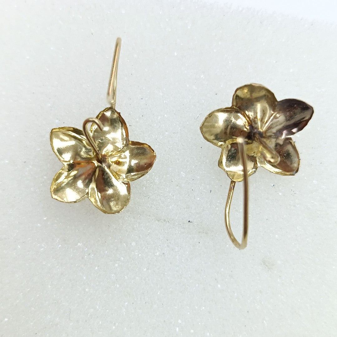ARETES PAR ORO 14 K 0.8 GRMS (SEMINUEVO)