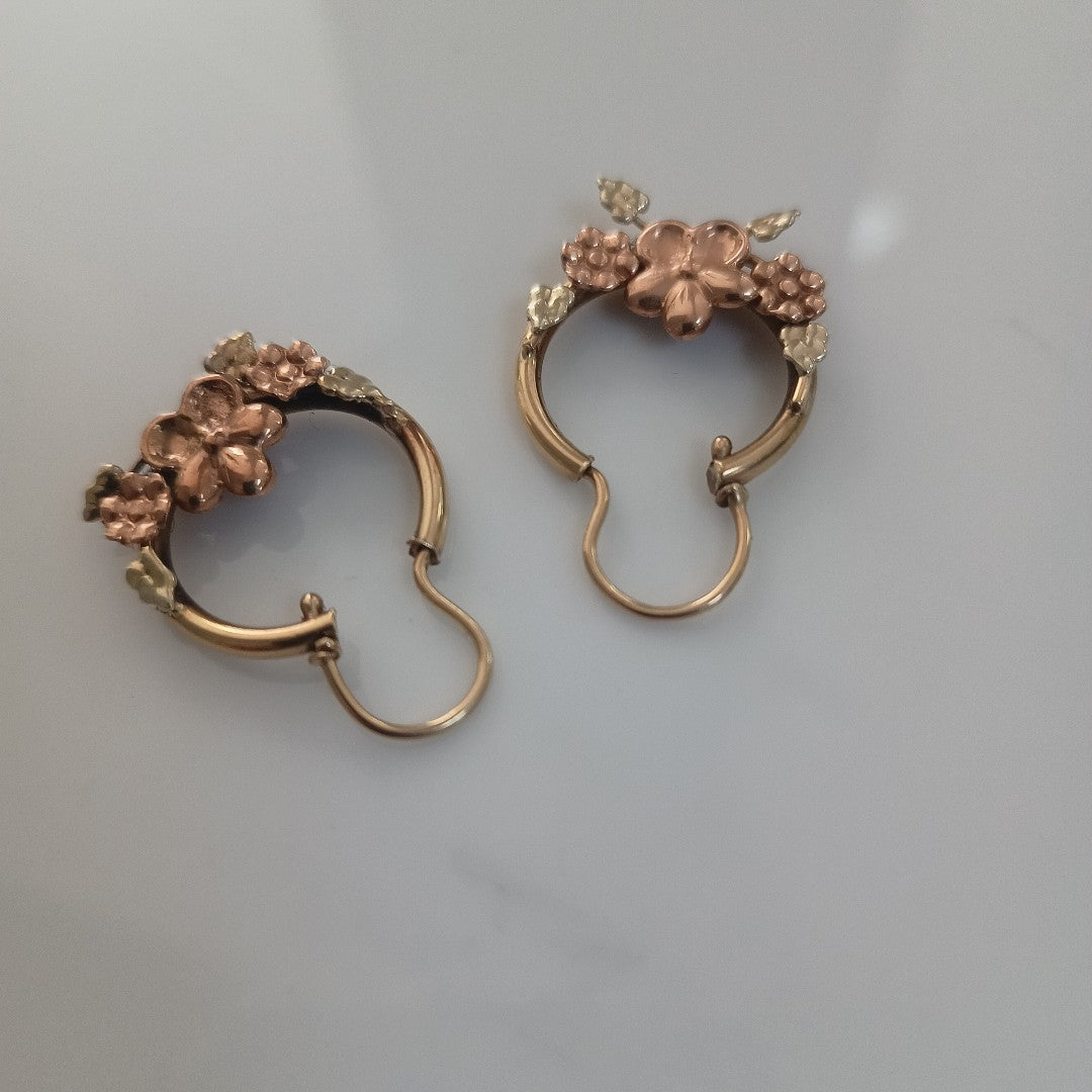 ARETES PAR ORO 10 K 4.6 GRMS (SEMINUEVO)