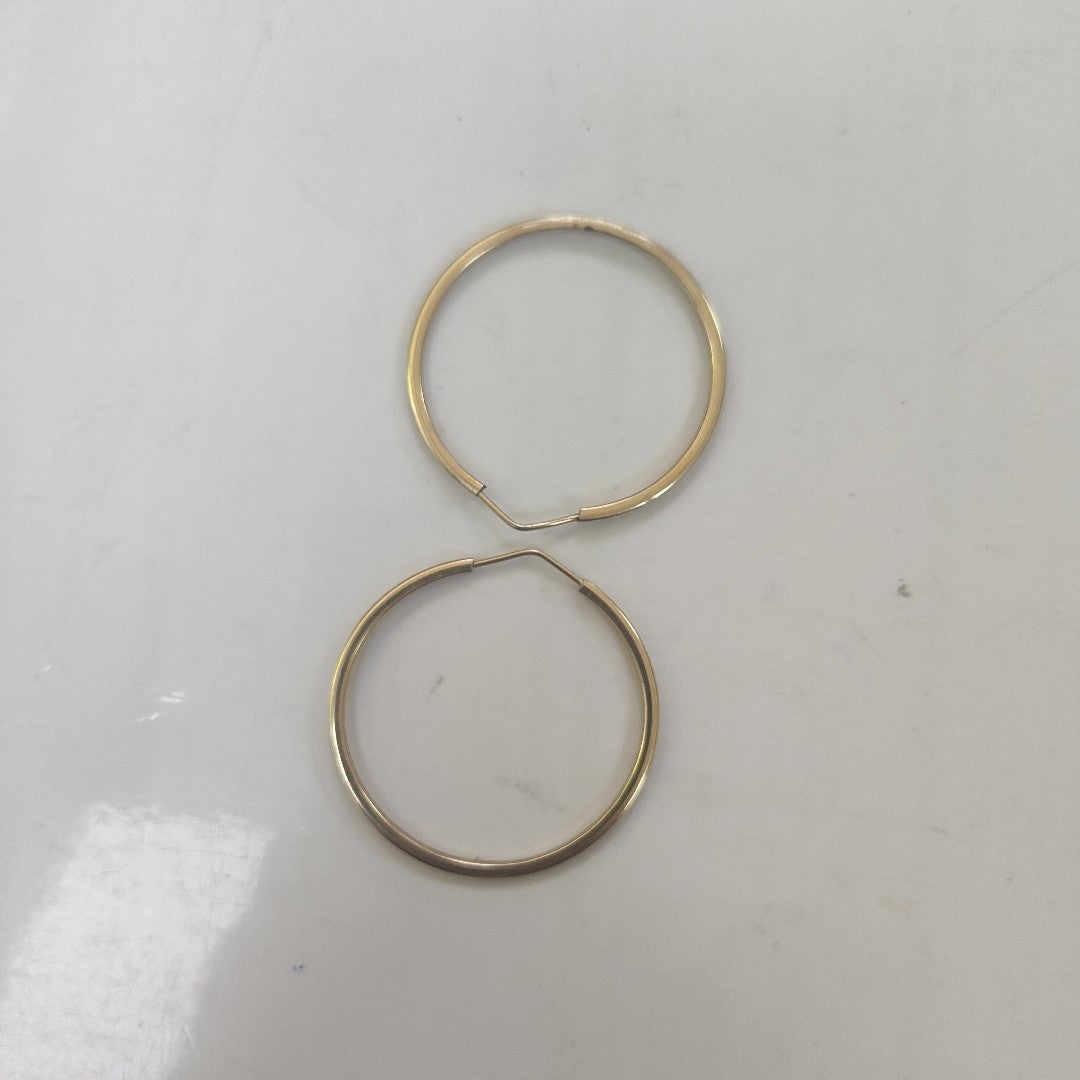 ARRACADAS PAR ORO 10 K 3.9 GRMS (SEMINUEVO)