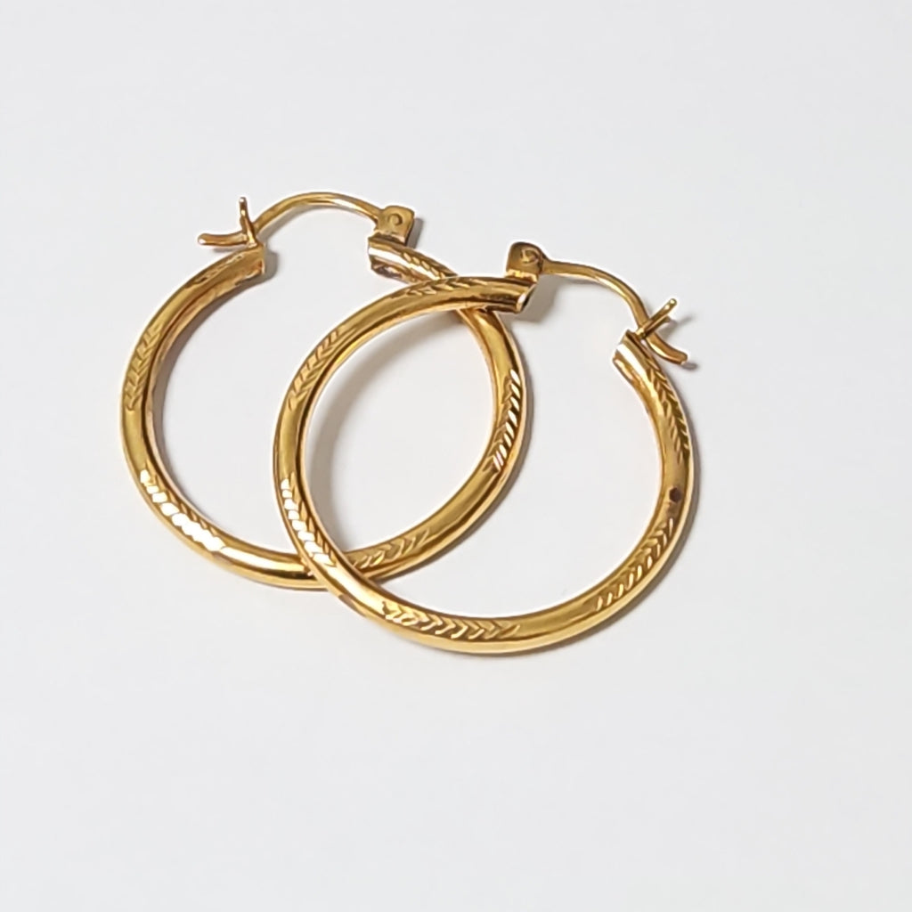 ARETES PAR ORO 10 K 4,50 GRMS (SEMINUEVO)