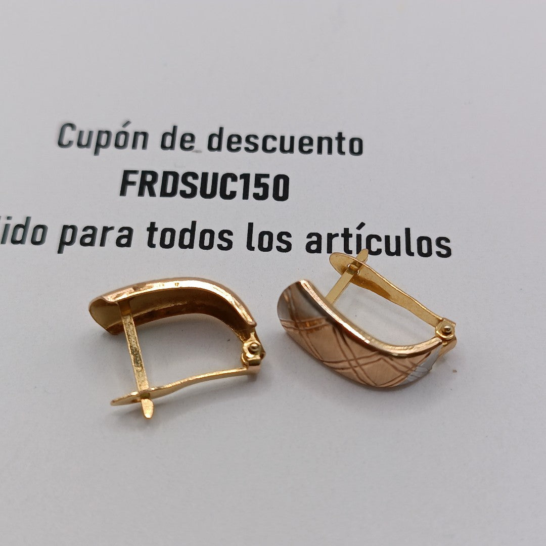 ARETES PAR ORO 10 K 1.7 GRMS (SEMINUEVO)