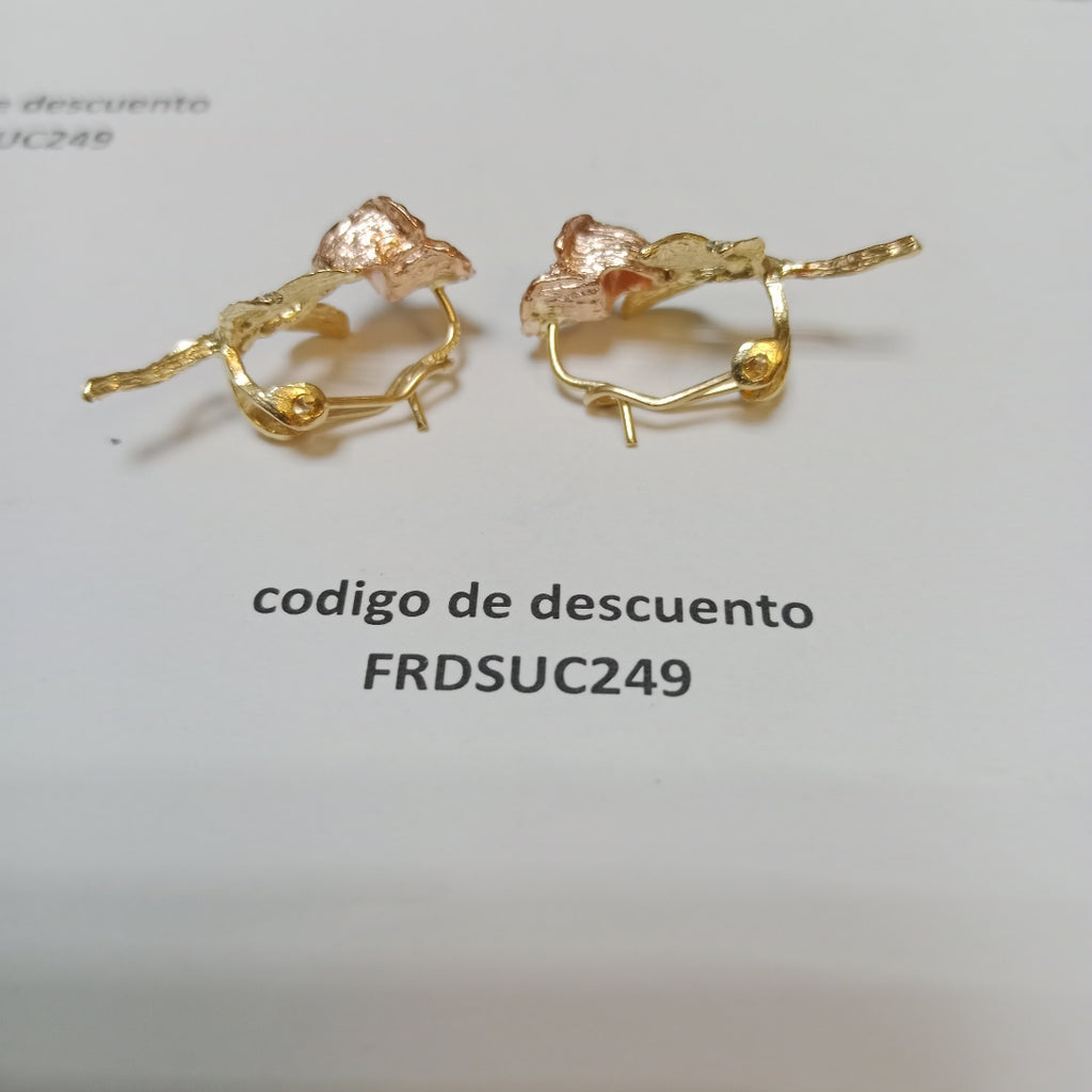 ARETES PAR ORO 10 K 4.9 GRMS (SEMINUEVO)